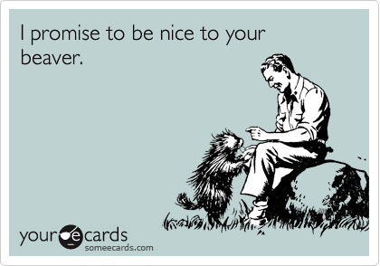 I promise to be nice to your beaver.