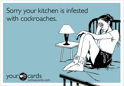 Sorry your kitchen is infested
with cockroaches.