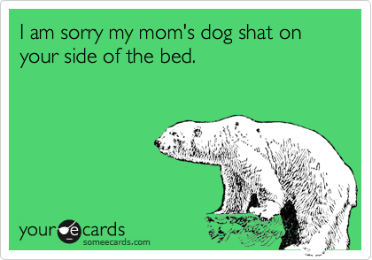I am sorry my mom's dog shat on your side of the bed.