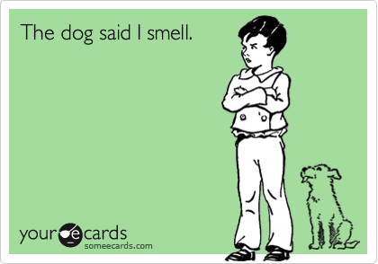 The dog said I smell.