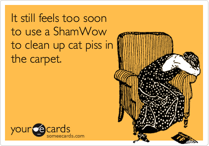 It still feels too soon
to use a ShamWow
to clean up cat piss in
the carpet.