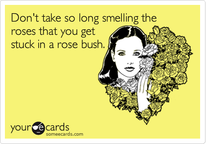 Don't take so long smelling the roses that you get
stuck in a rose bush.
