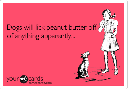 Dogs will lick peanut butter offof anything apparently...