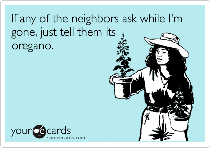 If any of the neighbors ask while I'm gone, just tell them its 
oregano.
