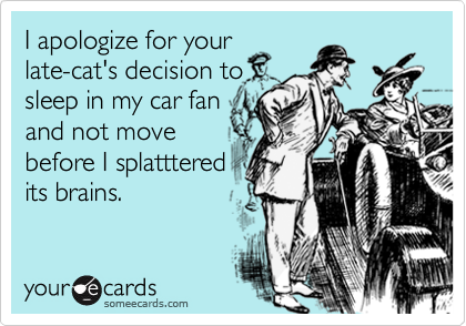 I apologize for your
late-cat's decision to
sleep in my car fan
and not move
before I splatttered
its brains.
