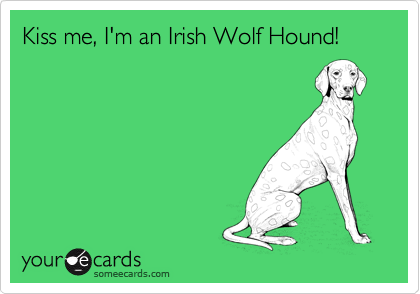 Kiss me, I'm an Irish Wolf Hound!