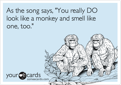 As the song says, "You really DO look like a monkey and smell like one, too."