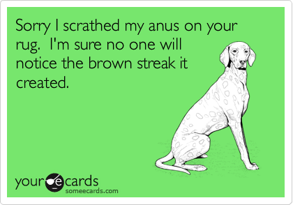 Sorry I scrathed my anus on your rug.  I'm sure no one will
notice the brown streak it
created.