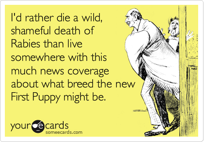 I'd rather die a wild,
shameful death of
Rabies than live
somewhere with this
much news coverage
about what breed the new
First Puppy might be.