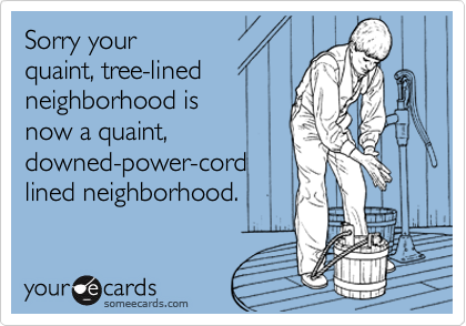 Sorry your
quaint, tree-lined
neighborhood is 
now a quaint,
downed-power-cord
lined neighborhood. 