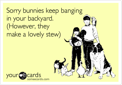 Sorry bunnies keep banging
in your backyard.
(However, they
make a lovely stew)