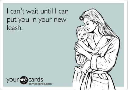 I can't wait until I can
put you in your new
leash.