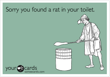 Sorry you found a rat in your toilet.