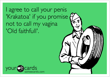 I agree to call your penis
'Krakatoa' if you promise
not to call my vagina
'Old faithfull'.