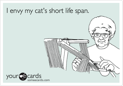 I envy my cat's short life span.