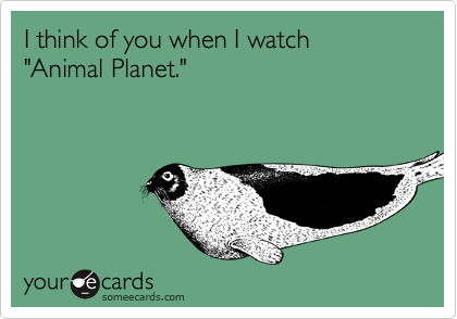 I think of you when I watch 
"Animal Planet."