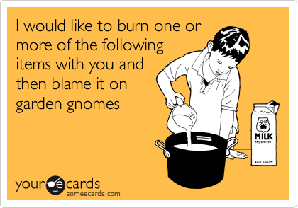 I would like to burn one or
more of the following
items with you and
then blame it on
garden gnomes