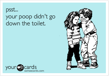 psst... 
your poop didn't go
down the toilet.

