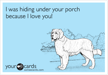 I was hiding under your porch because I love you!