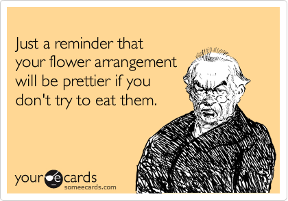 
Just a reminder that 
your flower arrangement
will be prettier if you
don't try to eat them.