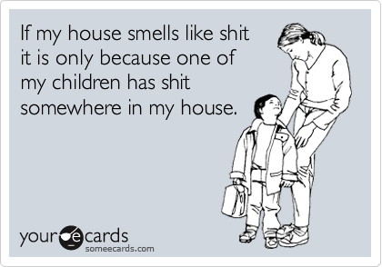 If my house smells like shit
it is only because one of 
my children has shit
somewhere in my house. 