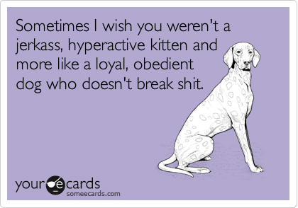 Sometimes I wish you weren't a jerkass, hyperactive kitten and
more like a loyal, obedient
dog who doesn't break shit.