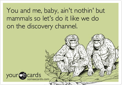 You And Me Baby Aint Nothin But Mammals So Lets Do It