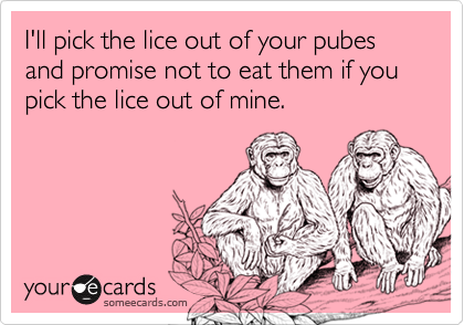 I'll pick the lice out of your pubes and promise not to eat them if you pick the lice out of mine.