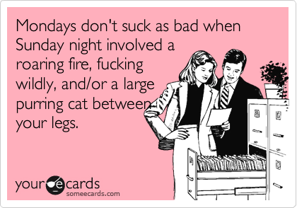 Mondays don't suck as bad when Sunday night involved aroaring fire, fuckingwildly, and/or a largepurring cat betweenyour legs.