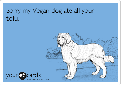 Sorry my Vegan dog ate all your tofu.