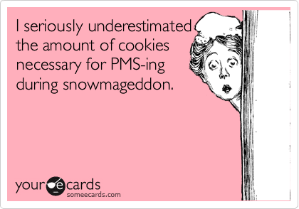 I seriously underestimated
the amount of cookies
necessary for PMS-ing
during snowmageddon. 