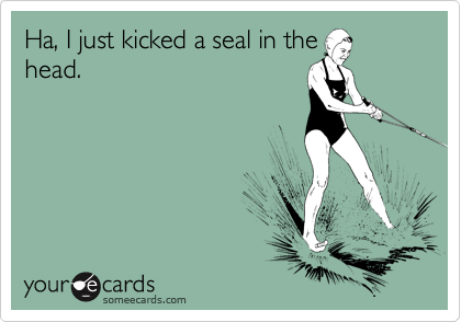 Ha, I just kicked a seal in the
head.