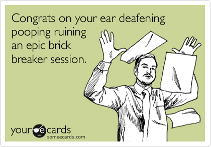 Congrats on your ear deafening pooping ruiningan epic brickbreaker session.
