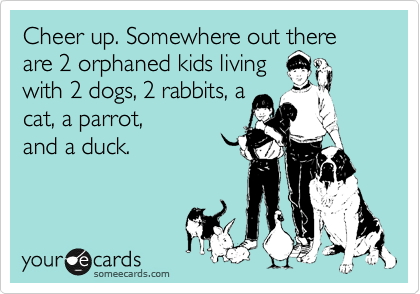 Cheer up. Somewhere out there  are 2 orphaned kids living
with 2 dogs, 2 rabbits, a
cat, a parrot,
and a duck.