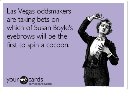 Las Vegas oddsmakers are taking bets on which of Susan Boyle'seyebrows will be thefirst to spin a cocoon.