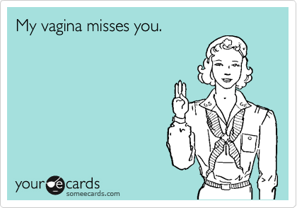 My vagina misses you.