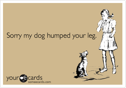 Sorry my dog humped your leg.