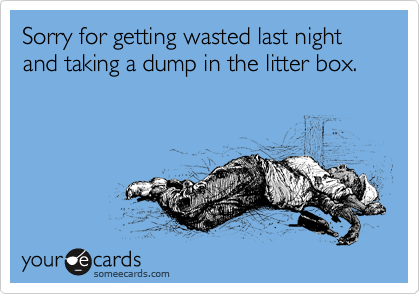 Sorry for getting wasted last night and taking a dump in the litter box.