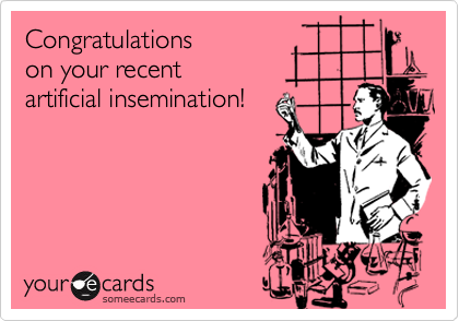 Congratulations 
on your recent 
artificial insemination!
