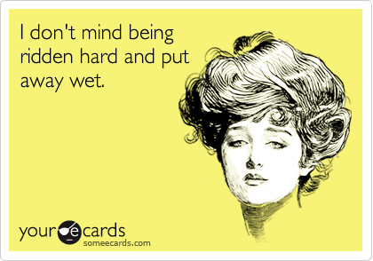 I don't mind being
ridden hard and put
away wet.
