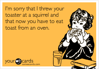 I'm sorry that I threw your
toaster at a squirrel and
that now you have to eat
toast from an oven.