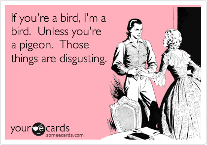 If you're a bird, I'm a
bird.  Unless you're
a pigeon.  Those
things are disgusting.