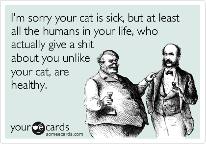 I'm sorry your cat is sick, but at least all the humans in your life, who actually give a shit
about you unlike
your cat, are
healthy.