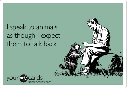 

I speak to animals 
as though I expect 
them to talk back