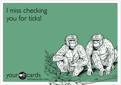 I miss checking you for ticks!