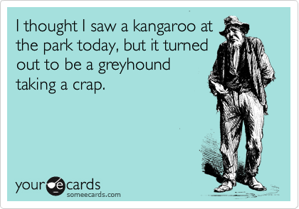 I thought I saw a kangaroo at
the park today, but it turned
out to be a greyhound
taking a crap.