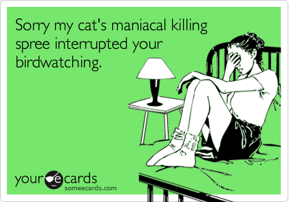 Sorry my cat's maniacal killing
spree interrupted your
birdwatching.