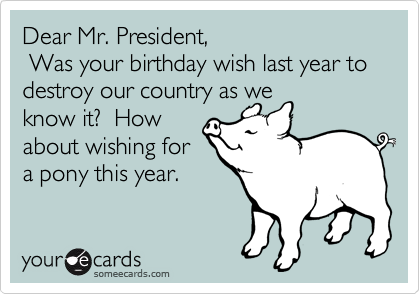 Dear Mr. President,
 Was your birthday wish last year to destroy our country as we
know it?  How
about wishing for
a pony this year.