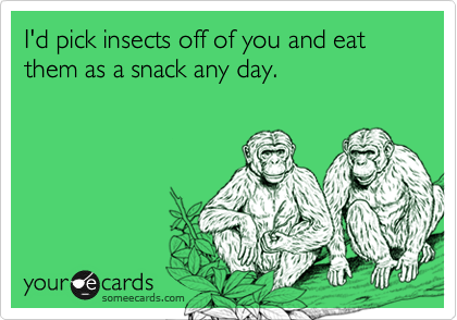 I'd pick insects off of you and eat them as a snack any day.