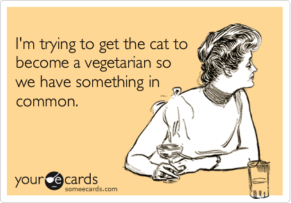 
I'm trying to get the cat to
become a vegetarian so
we have something in
common.